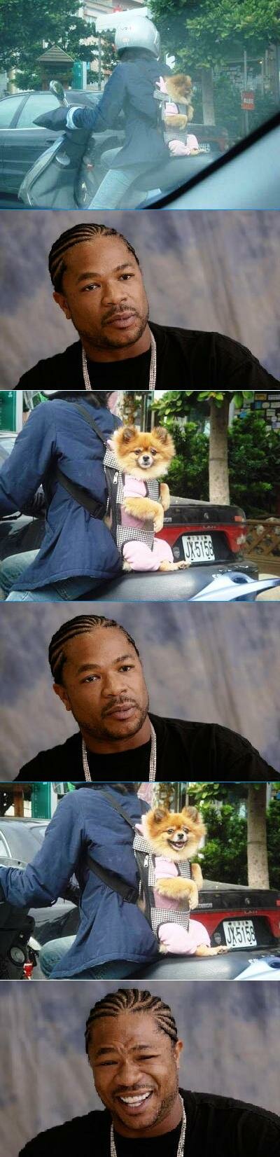 Xhibit likes dawgs